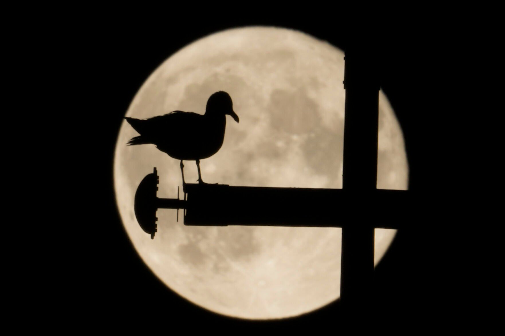 Super Moon Photo Gallery